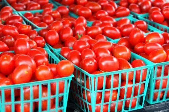 Tomato